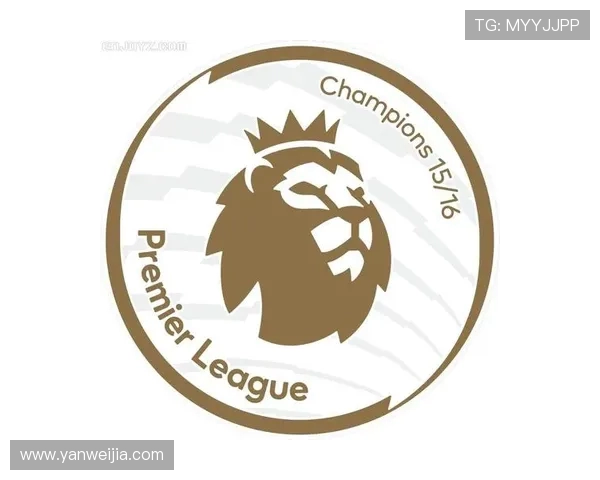 英超球队队徽补丁设计及其文化象征 英超球队队徽补丁设计及其文化象征