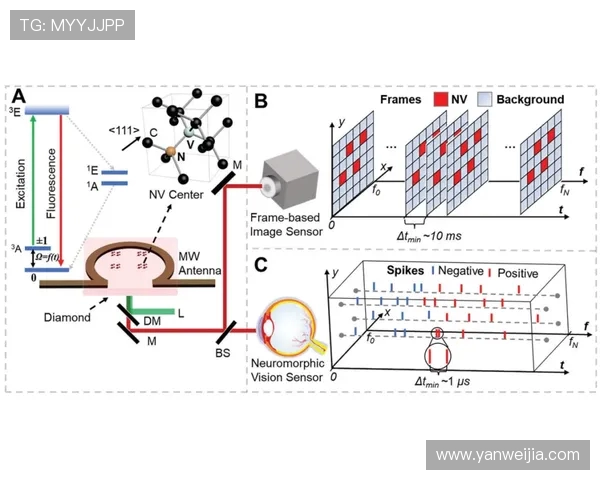 高强度训练对脂肪燃烧与减重的科学原理 高强度训练对脂肪燃烧与减重的科学原理